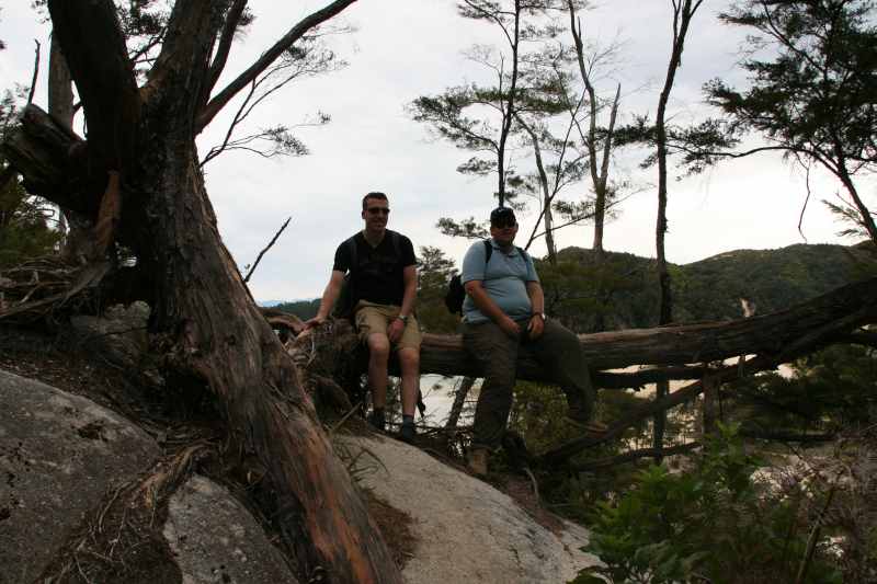 Nieuw-Zeeland 2011 - 1038